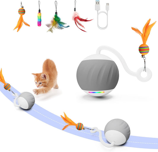Ball Toy For Indoor Cats