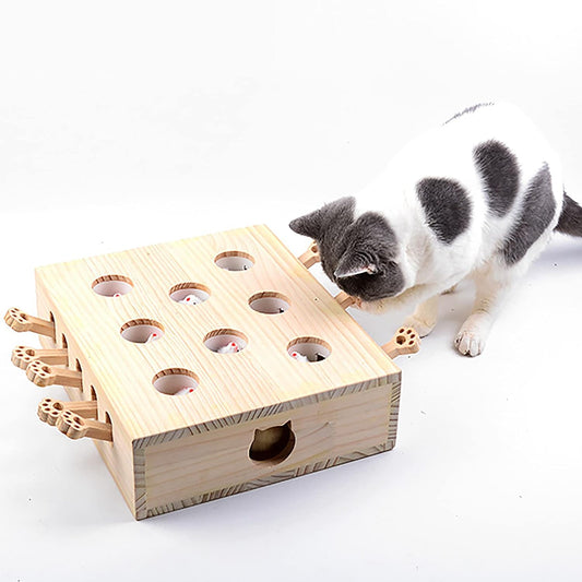 Wood Box Interactive Cat Toys