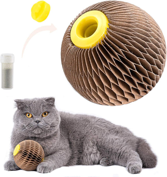 Ball Toy for Cats